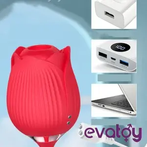 Rose Vakum Emiş ve İleri Geri Hareketli Vibratör